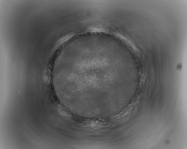 X0000103271207200809191734