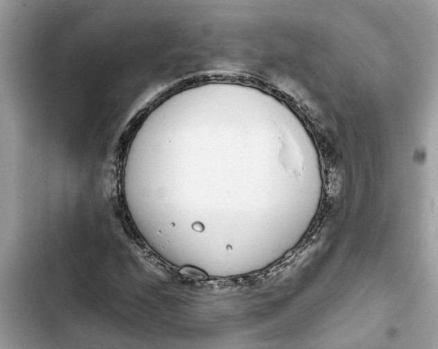X0000103271208200809191734