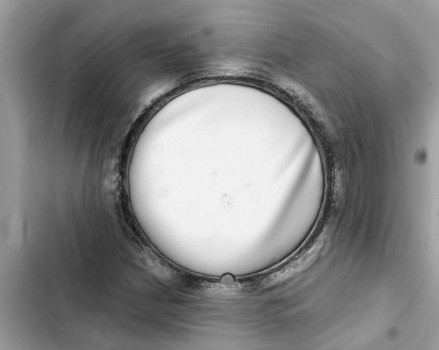 X0000103271210200809191734