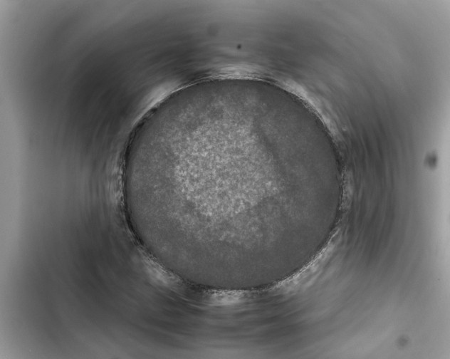 X0000103271211200809191734