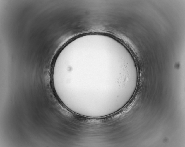 X0000103271212200809191734