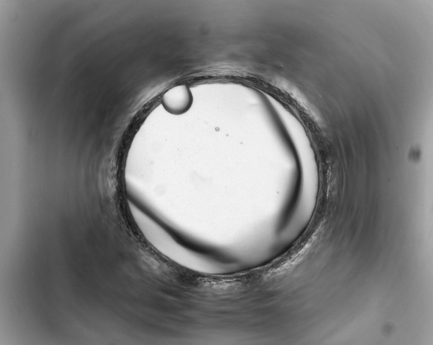 X0000103271213200809191734