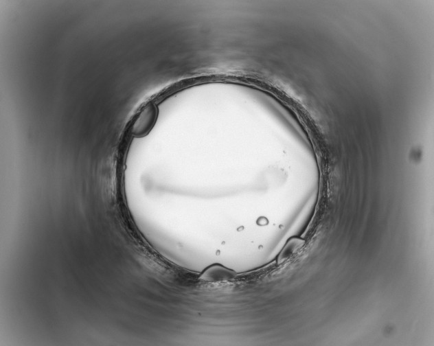 X0000103271214200809191734