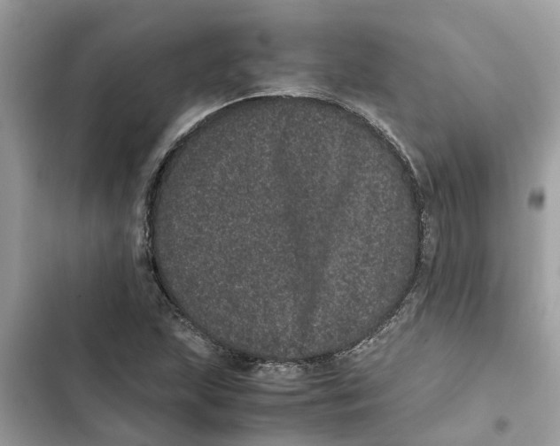 X0000103271215200809191734