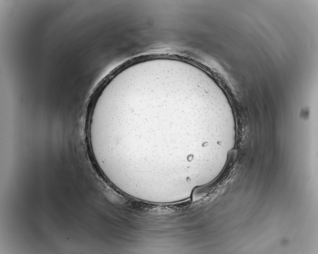 X0000103271216200809191734