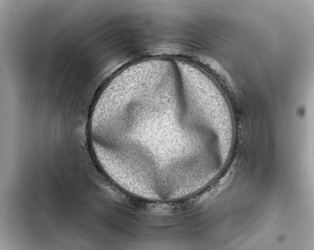 X0000103271217200809191734
