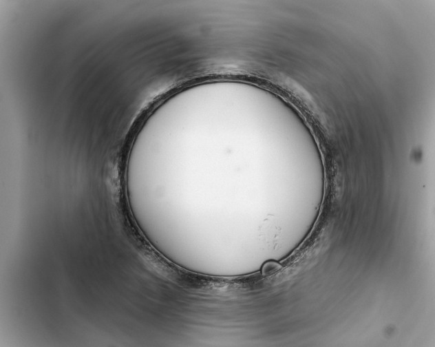 X0000103271218200809191734