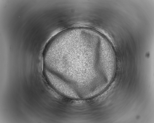 X0000103271219200809191734