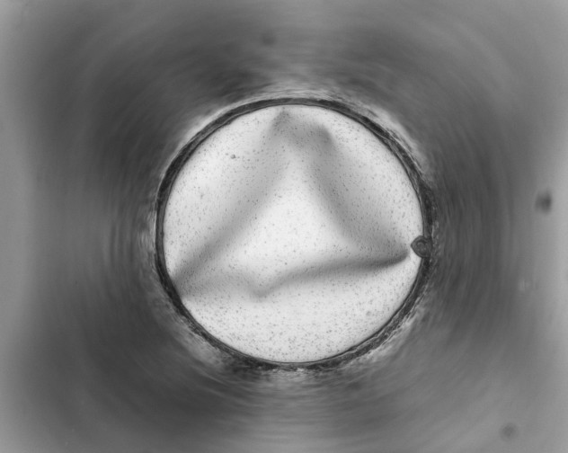 X0000103271220200809191734