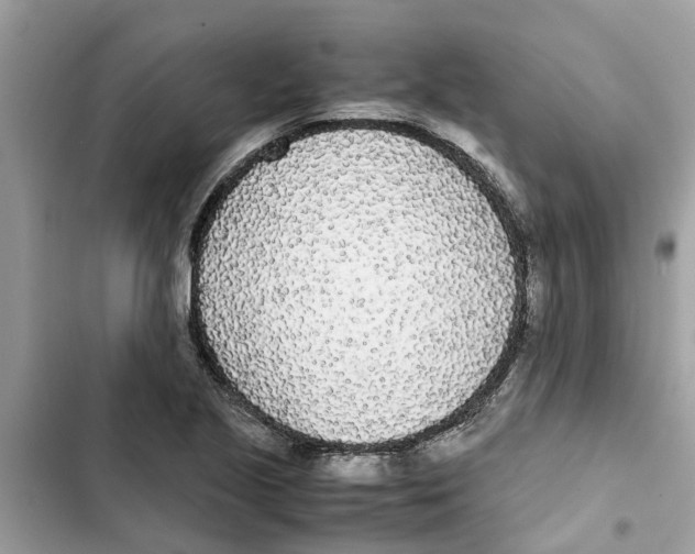 X0000103271221200809191734