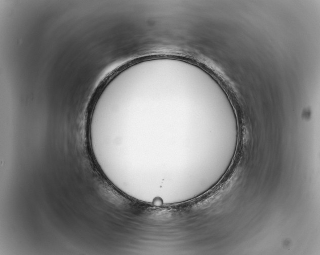 X0000103271222200809191734