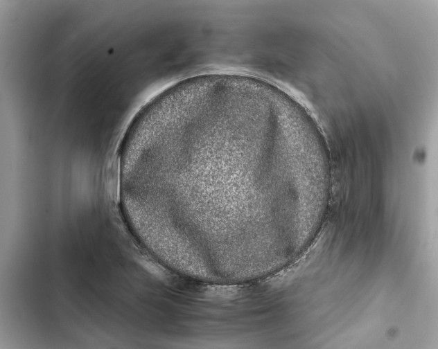 X0000103271223200809191734