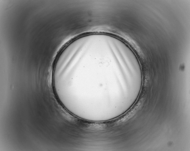 X0000103271224200809191734