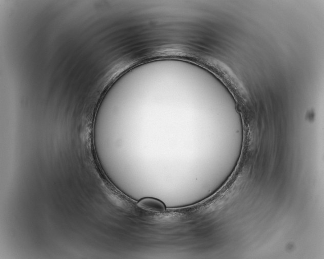 X0000103271225200809191734
