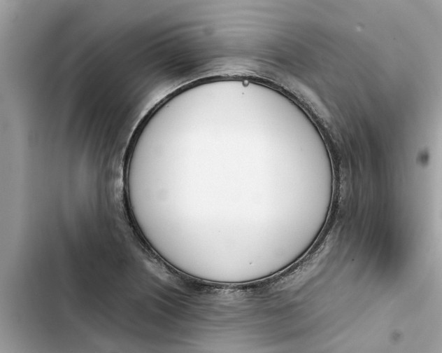 X0000103271226200809191734
