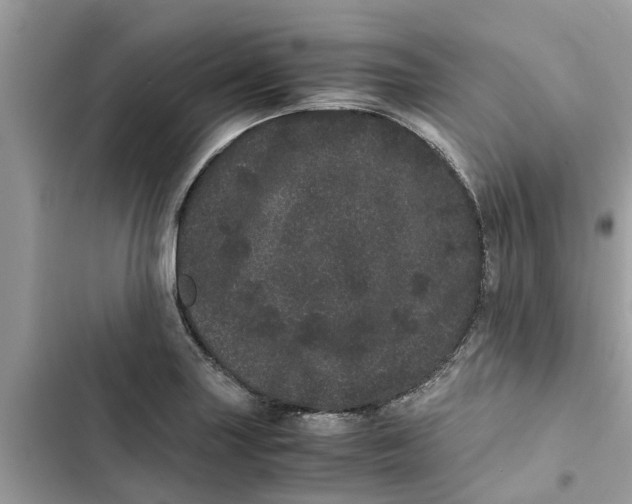 X0000103271227200809191734