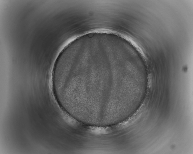 X0000103271229200809191734