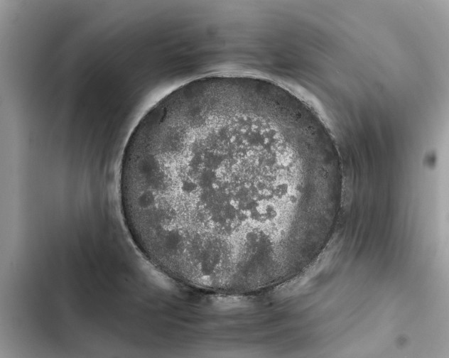 X0000103271231200809191734