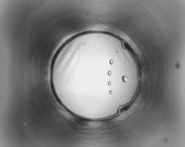 X0000103271232200809191734