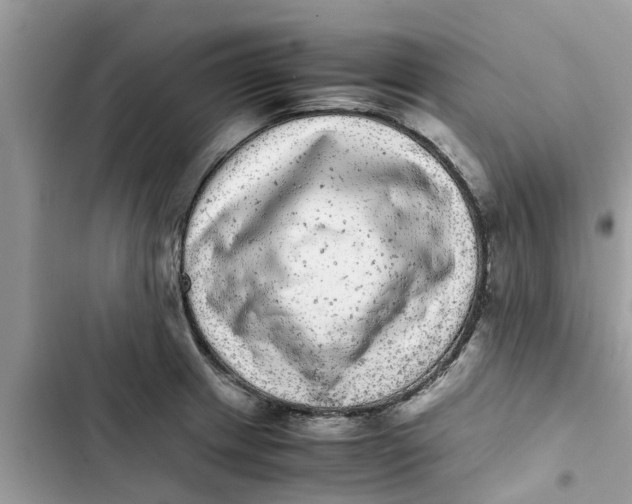X0000103271233200809191734