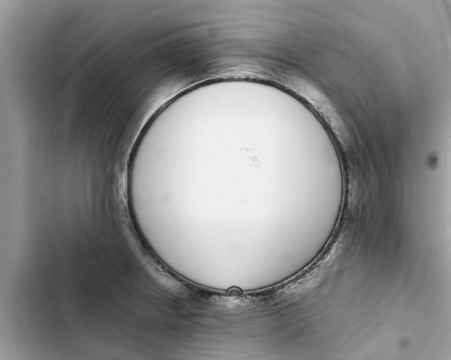X0000103271234200809191734