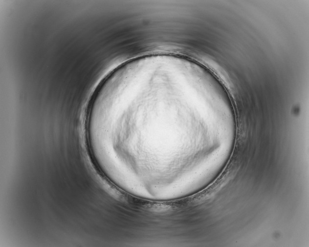 X0000103271235200809191734