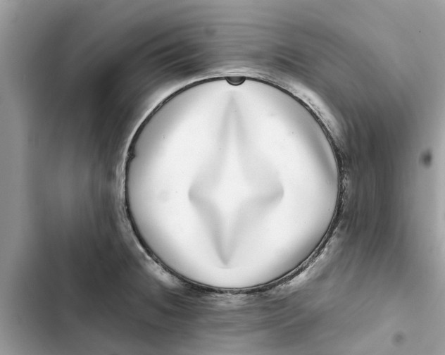 X0000103271236200809191734