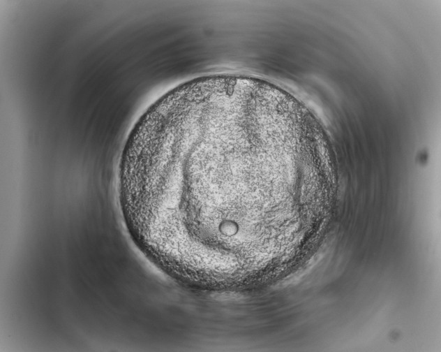 X0000103271239200809191734