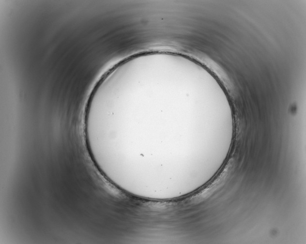 X0000103271240200809191734