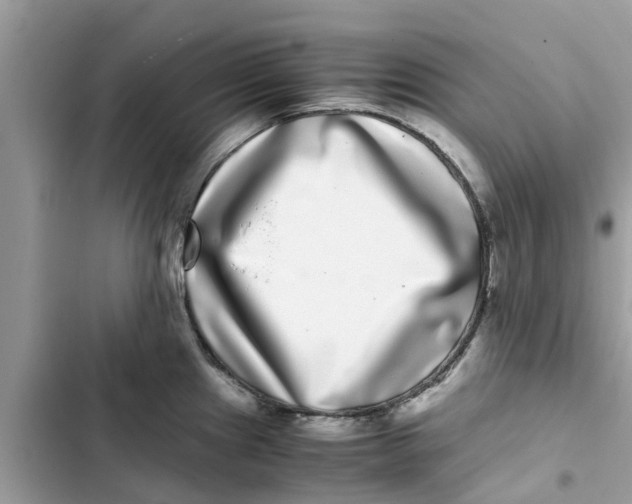 X0000103271241200809191734