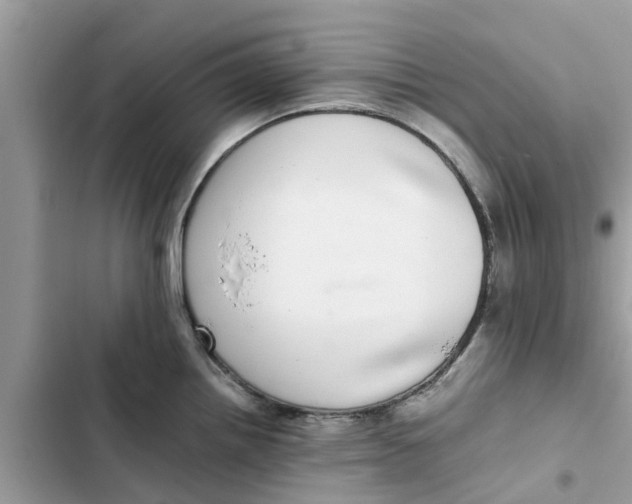 X0000103271242200809191734