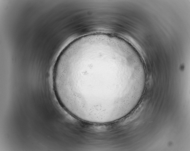 X0000103271243200809191734