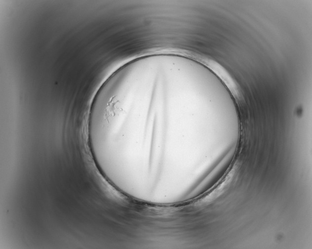 X0000103271244200809191734
