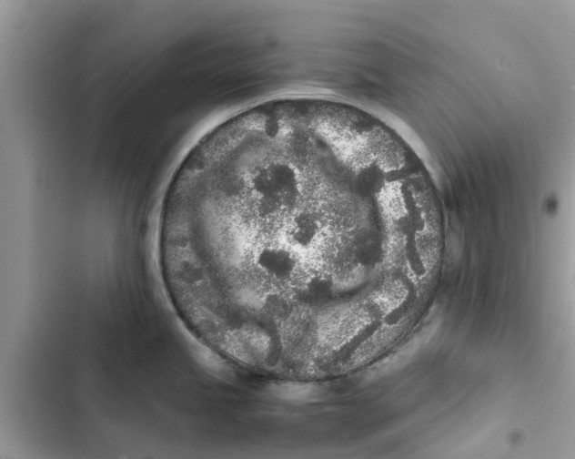 X0000103271245200809191734