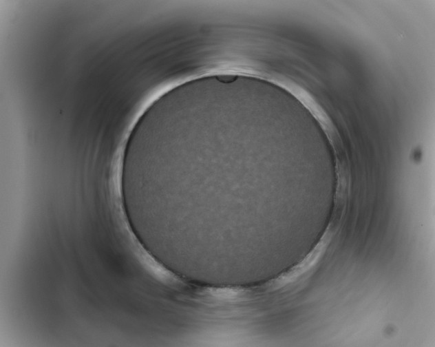 X0000103271246200809191734