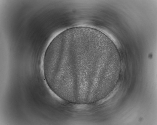 X0000103271247200809191735