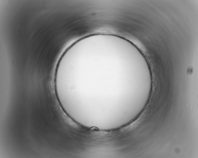 X0000103271248200809191735