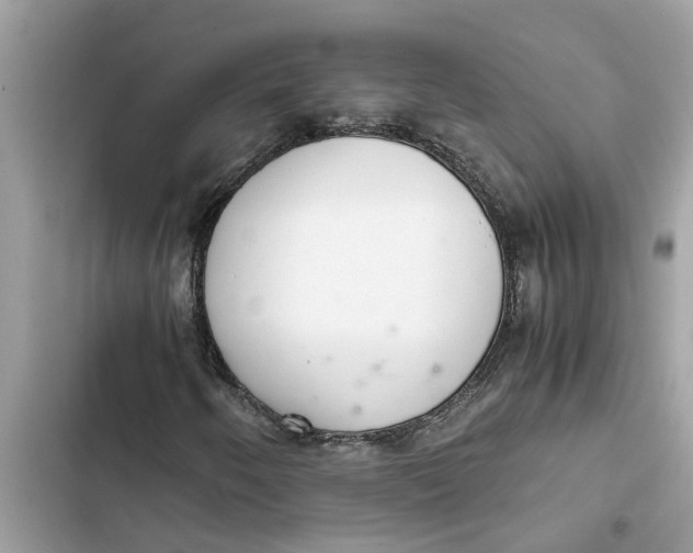 X0000103271250200809191734