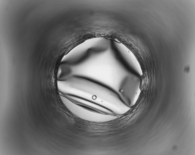 X0000103271252200809191734