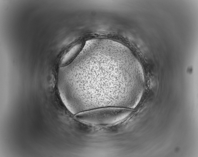 X0000103271253200809191734