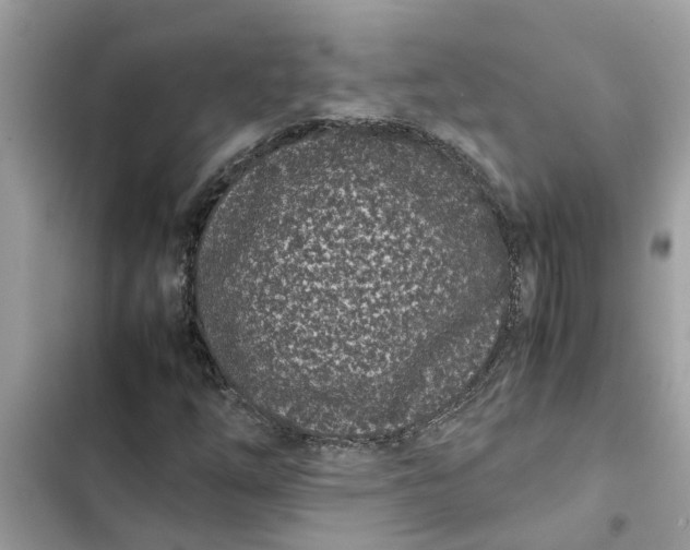 X0000103271254200809191734