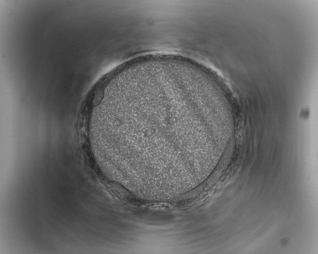 X0000103271255200809191734