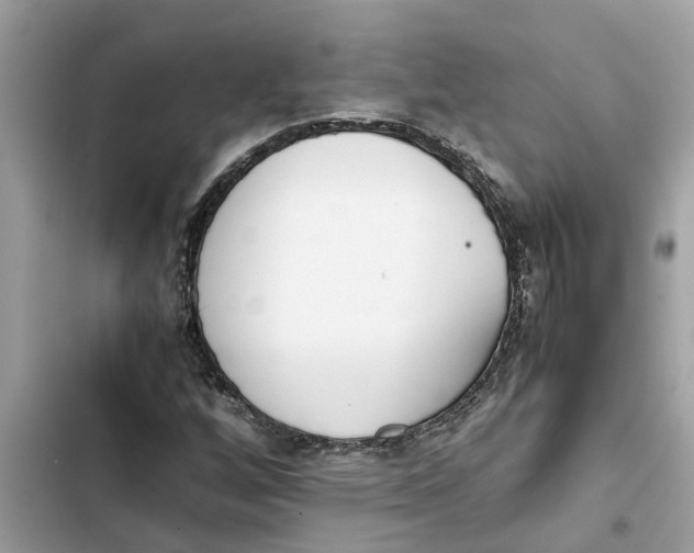 X0000103271256200809191734