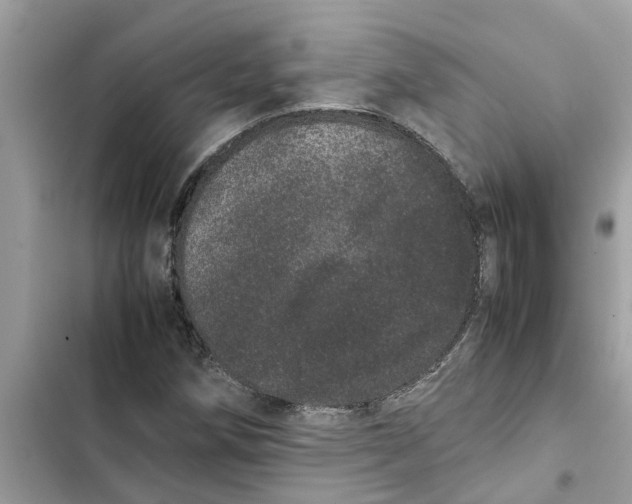 X0000103271258200809191734
