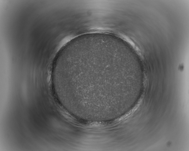 X0000103271259200809191734