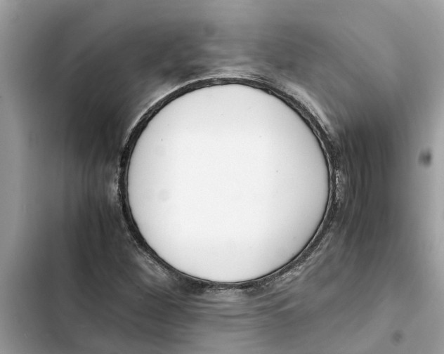 X0000103271260200809191734