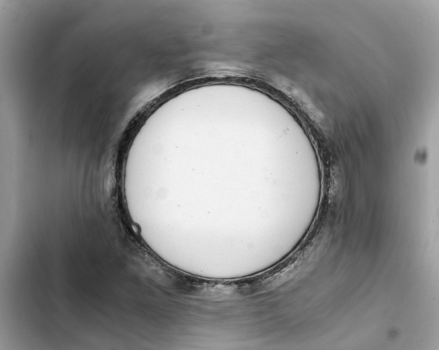 X0000103271261200809191734