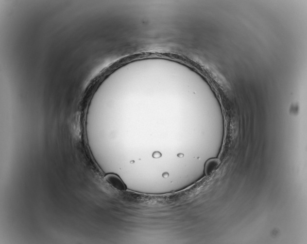 X0000103271262200809191734
