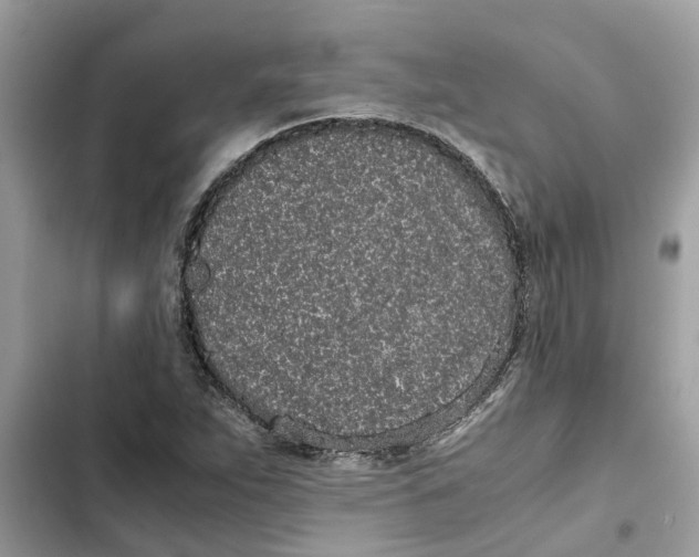 X0000103271263200809191734