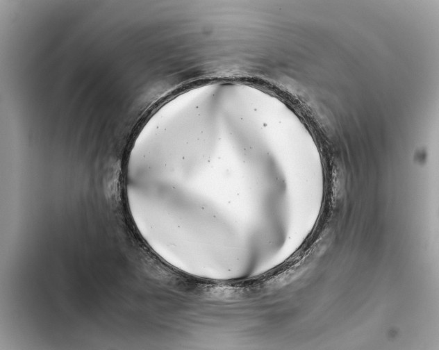 X0000103271265200809191734